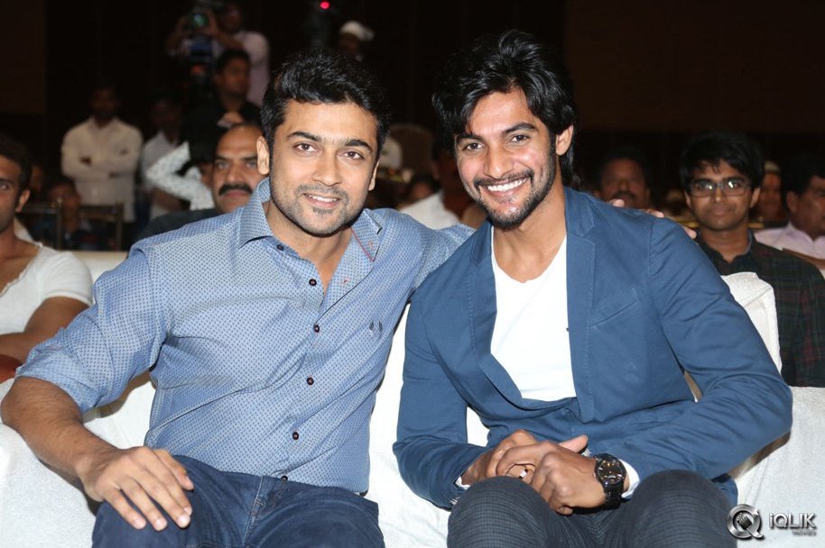 Rough-Movie-Audio-Launch